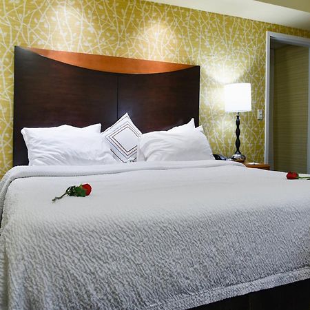 וינזדור לוקס Fairfield Inn Hartford Airport מראה חיצוני תמונה